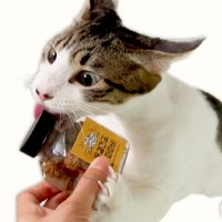 국산 동결건조 고양이 마따따비 개다래나무 열매 스트레스해소 10g (미유캣츠)