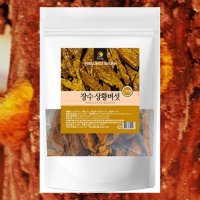 상황버섯차 250g (장수 프리미엄)