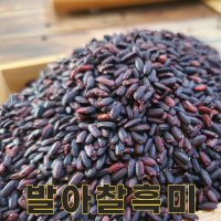 강원도 원주 22년산 국산 발아찰흑미 1kg