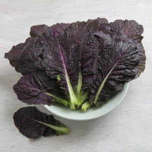 채소팜 적겨자 1.8kg~2kg