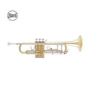 바하트럼펫 BTR211 입문용 바흐트럼펫 어린이 방과후 초보자 연습용 취미