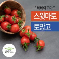 스테비아 스윗마토 토망고 방울토마토 대추 방울 완숙 토마토