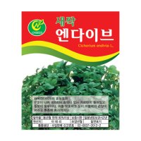 새싹 엔다이브 씨앗 15g 키우기