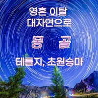 [2023년]몽골 승마 여행 패키지 4박5일 현지 투어 울란바토르 게르 캠프 트레킹코스