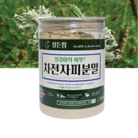 차전자피 장청소 약 숙변제거 차전차피 차전자 변비 직빵 다이어트 300g