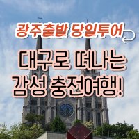 광주출발~대구로 떠나는 감상 충전여행!