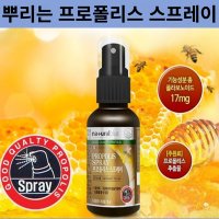 캐나다 목에 뿌리는 프로폴리스 스프레이 목이칼칼 구강 폴로 포로폴리스 약1개월분