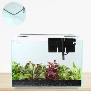 수초키우기 어항세트 스타터 라운드 60