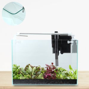 수초키우기 어항세트 스타터 라운드 35