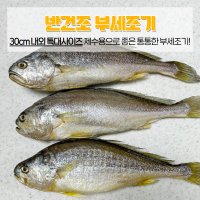 [당일출고] 반건조 부세조기 특대사이즈 30cm 내외 제수용 조기