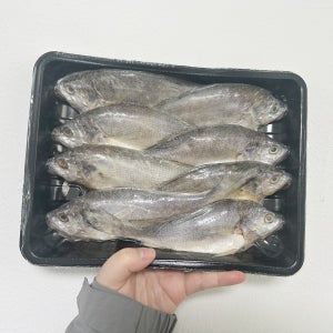 경영푸드 반건조 부세조기 제수용 특대사이즈