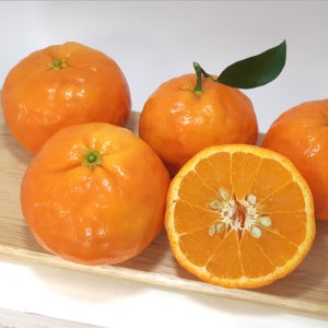 제주 여름귤 세미놀 혼합과 3kg, 5kg