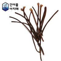 말랑 장족 대왕오징어다리 망족