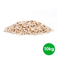 [벌크]22년 햇 불가리아 해바라기씨 10kg/해바라기