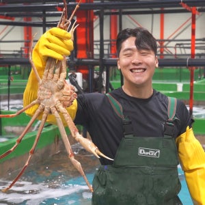 우리푸드 러시아 대게 1kg 활 생물 마가단 프리모리 동사할린 박달대게 자숙대게 특A급 수율보장