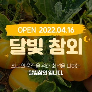 직접 수확한 성주 달빛참외 10KG 5KG