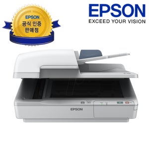 엡손 WorkForce DS-6500, 양면 스캐너