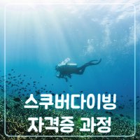 제주도 제주 스킨스쿠버 스쿠버다이빙 강습 오픈워터 어드벤스 자격증