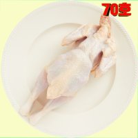 염지 삼계 닭 도매 유통 영계 생닭 -70호 (650g-750g) 옛날통닭용