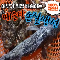 통영-매운탕 손질 생선 1.2KG - 어부 직배송 볼락 쏨뱅이 우럭 노래미 돌게 등