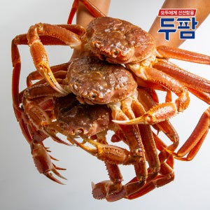 [수입사직송] 러시아 활 대게 1kg 자숙 찜 프리모리 미가단 박달대게 수율보장