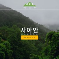 [셀프] 워드프레스 반응형 홈페이지 제작 템플릿2