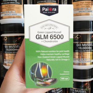 파이오라 초록입홍합 Green Lipped Mussel 6500 콘드로이친 300캡슐