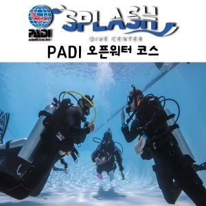 [제주도 스쿠버 다이빙] 제주도스킨스쿠버 [PADI 오픈워터 코스]