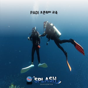 [제주도 스쿠버 다이빙] 제주도스킨스쿠버 [PADI 오픈워터 코스]