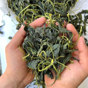 국산 건취나물 1kg 국내산 말린 건조 취나물