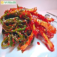 한국농협김치 마이산김치 파김치 2kg,3kg 국내산100%재료 전라도 김치