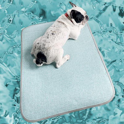 강아지쿨매트 애견 여름방석 고양이 펫 돗자리 여름 쿨링매트 댕냥이 잠자리 물림
