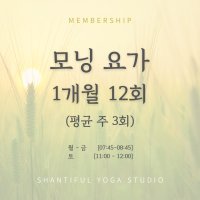 모닝요가 1개월 평균 주3회 (총12회)