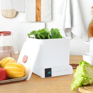 가정용 과일 야채 다용도 초음파 세척기 BCUC-770 (해산물 식기 젖병 식품 세척)