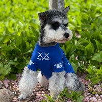 스포티 강아지 댕댕이 냥이 여름 티셔츠 t shirt 슈나우저 반려동물 옷 외출 산책갈까