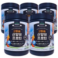 오리진 팔레오 고칼슘 산양유 프로틴 단백질 280g x 5통 산양유초유 단백질 파우더