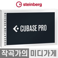 Steinberg Cubase Pro 12 스테인버그 큐베이스 프로 12 EDU 교육용