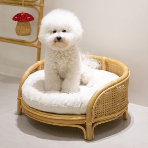 케인 강아지침대 고양이해먹 라탄 고양이 집 쇼파 펫베드 애견 원목침대