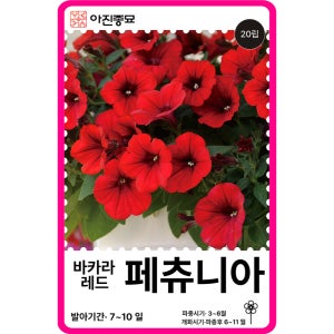 페츄니아 씨앗 페튜니아 바카라 레드 / 20립 꽃씨 몰 F1교배종 종자 야생화 봄 가을
