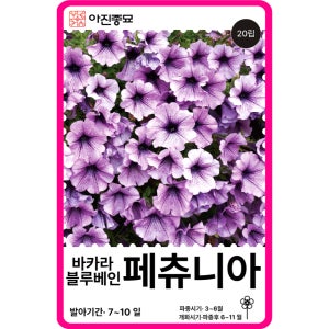 페츄니아 씨앗 페튜니아 바카라 블루베인 / 20립 꽃씨 몰 F1교배종 종자 야생화 봄 가을