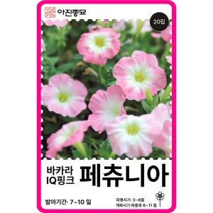 페츄니아 씨앗 페튜니아 바카라 IQ핑크몬 / 20립 꽃씨 몰 F1교배종 종자 야생화 봄 가을