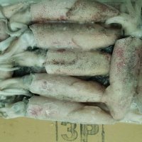 냉동 화살 오징어 (한치 3P) 2KG (인도네시아) 한치물회, 한치롤,한치채