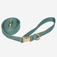 모클래식도그 Gold Leash 2M Olive Green 강아지 리드줄 산책줄