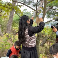 환경을 생각하는 꿀벌호텔 BEE HOTEL / 목공 체험 DIY KIT