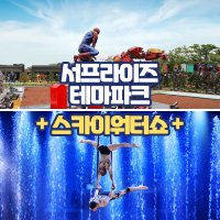 제주 서프라이즈테마파크+스카이워터쇼 소인 입장권 / 제주도 이색체험