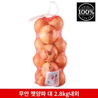 국내산 무안 햇양파 양파 1망 2.8kg 내외