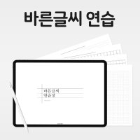 굿노트 손글씨 연습노트 3종 pdf 아이패드 노트쉘프 글씨체 교정 필기체 흘림체 한문