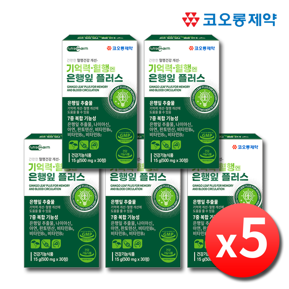 은행잎추출물 기억력 혈행개선 징코플러스 혈액순환 30정, 5개
