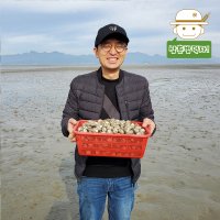 서해 고창에서 바로 보내드리는 동죽(물총조개) 2kg