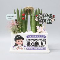 단골손님 생기는 매장 인테리어소품 화분선물 개업 메세지 스투키 오픈축하 가게 돈나무금전수